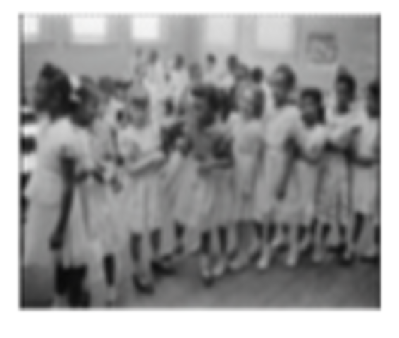 Swan v. Charlotte- Mecklen Berg Board of Education