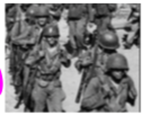 Watts Riot + Kerner Commission