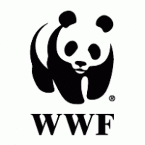 Creación de la WWF
