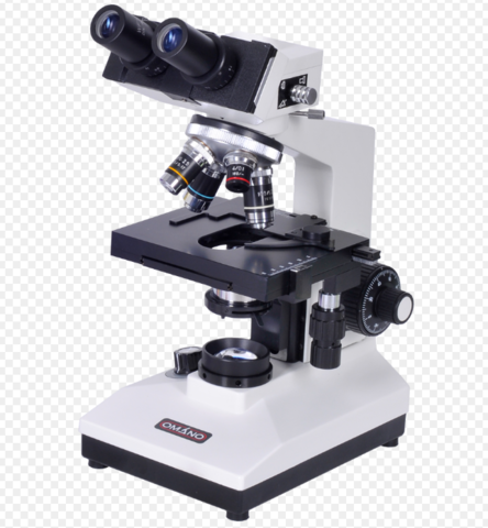 1660: Spontaneous Generation