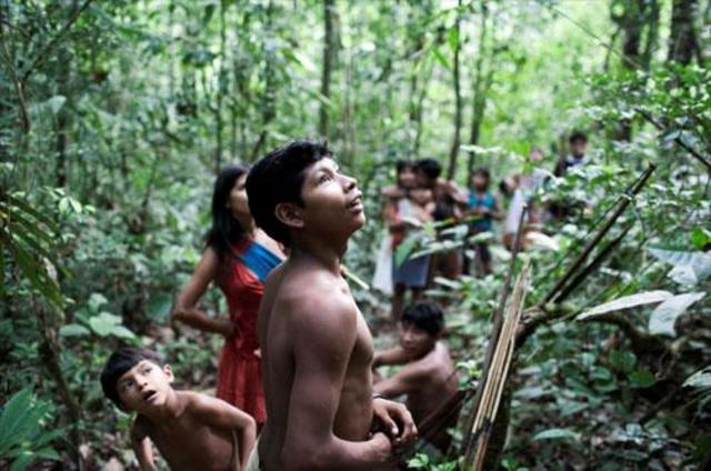 Orgánica del Ministerio del Medio Ambiente