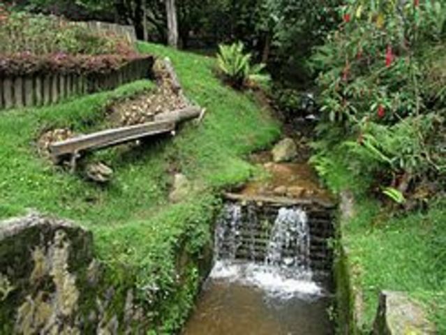 Alameda de Quebrada Vieja