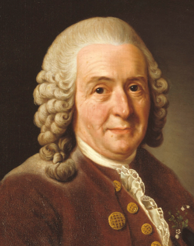 Linnaeus