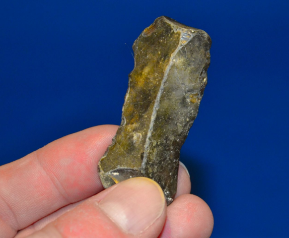 Flint Tools Discovered