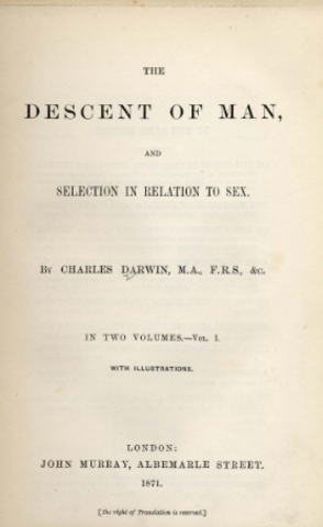 Descent of Man