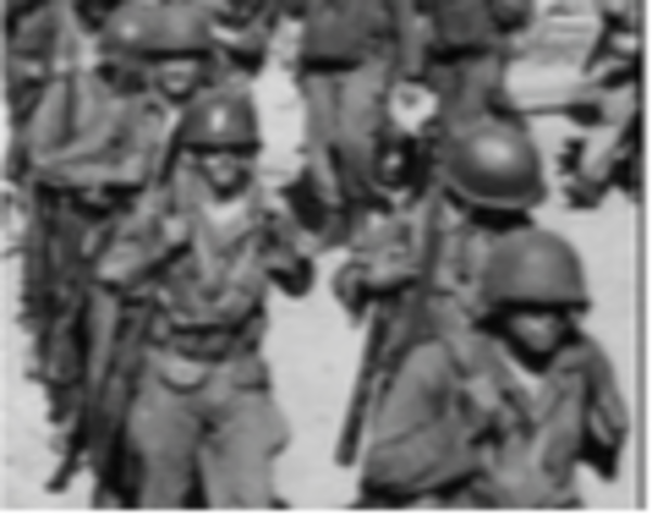 Executive Order 9981