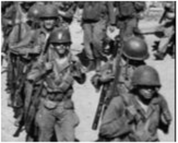 Executive Order 9981