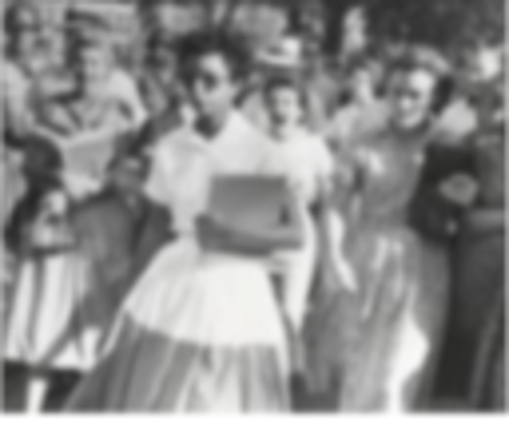 Integration of Central High School