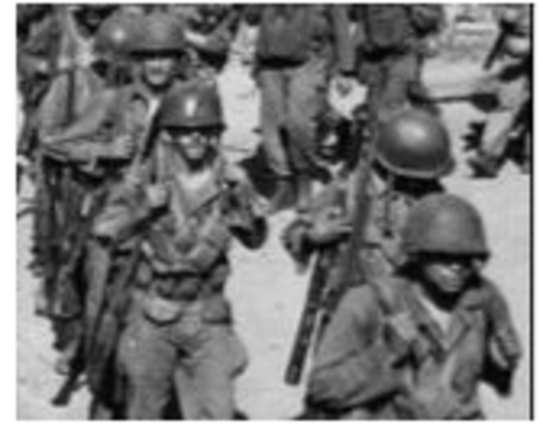 Executive order 9981