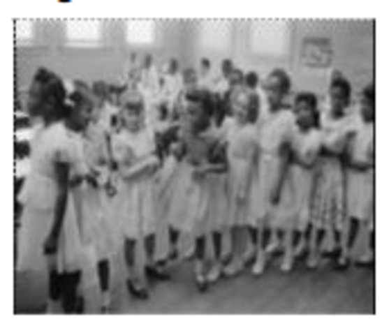 Brown v Board of Edu.