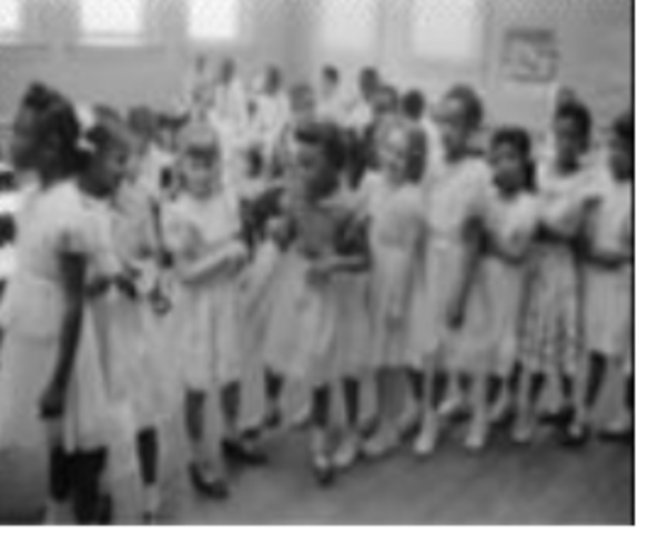 Brown v. Bored of Education Ruling