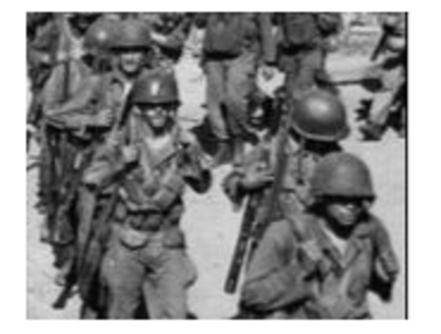 Executive Order 9981