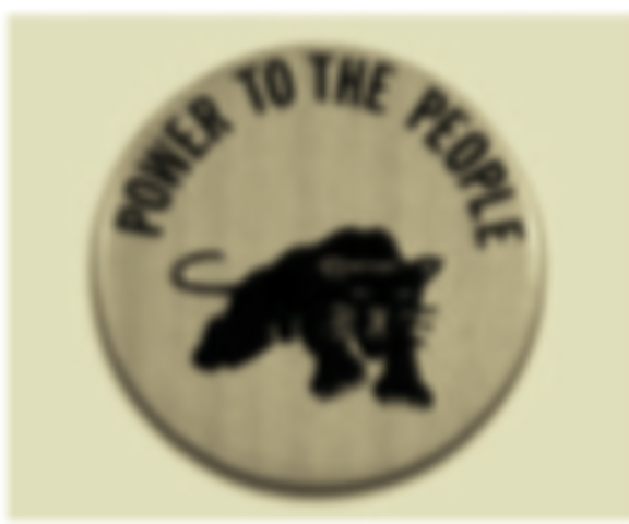 Watts Riot + Kerner Commission