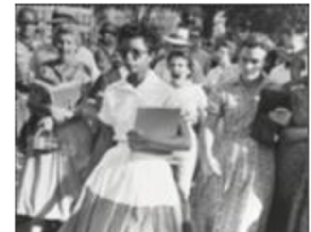 Integration of Central High School