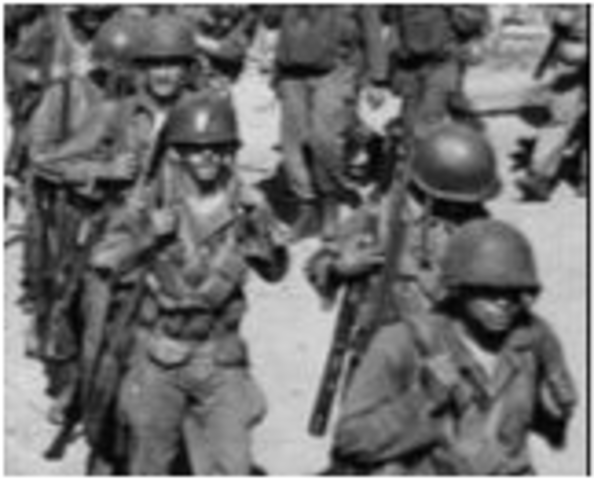 Executive Order 9981