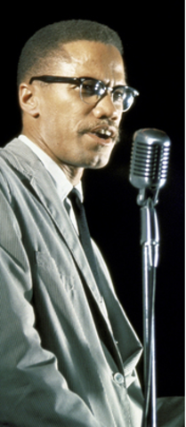 Advocates for Black Nationalism