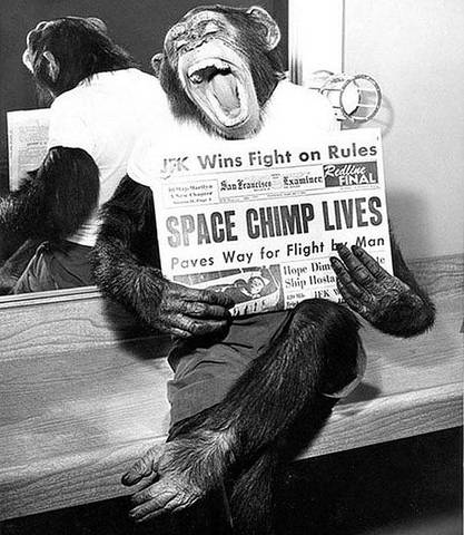 Ham The Astrochimp
