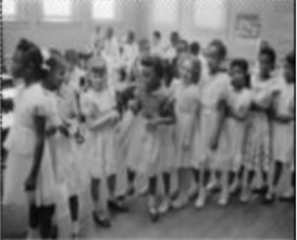Brown Vs. The board of Education