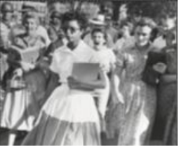 Integration of Central High School