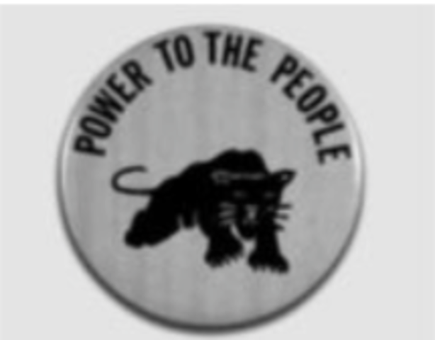 Black Panther Party Founded