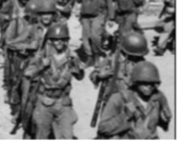 Executive order of 9981