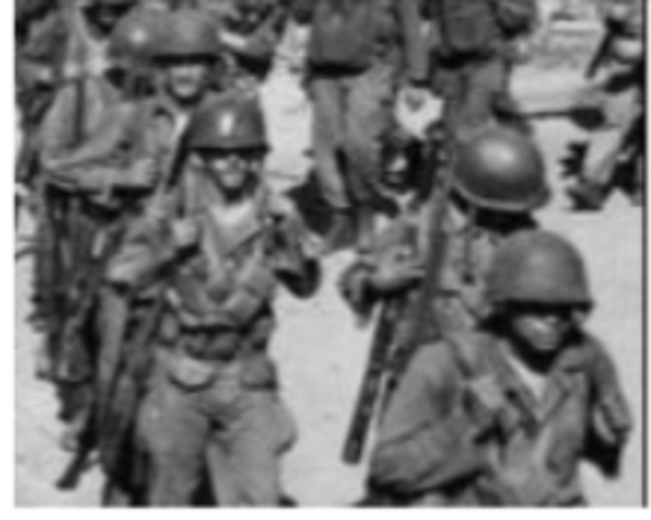 Executive Order 9981