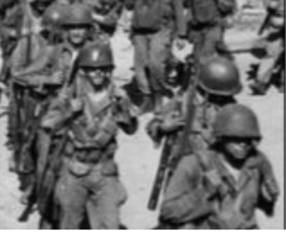 Executive Order 9981