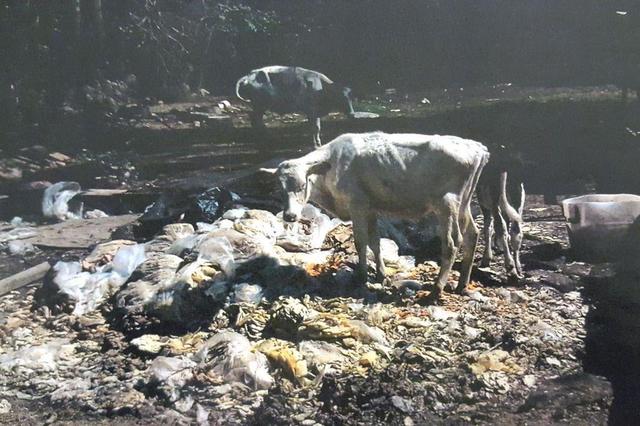 Case becomes largest in the Northeast