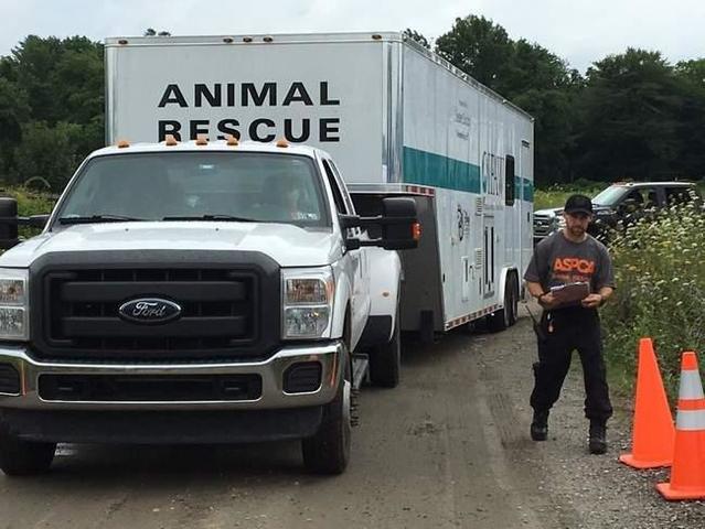 New homes for animals found