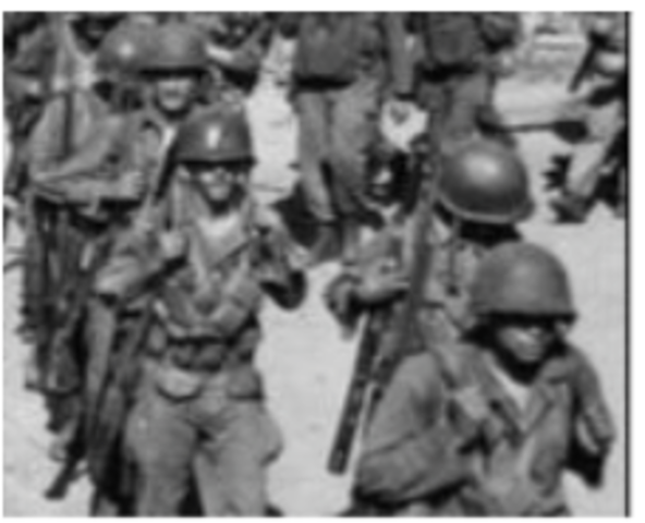 Executive Order 9981