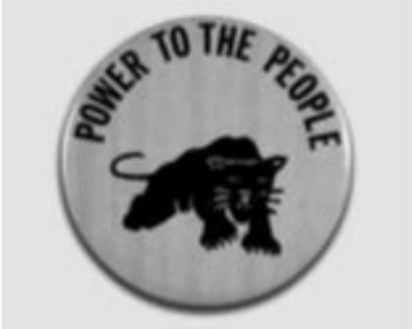 black panther party founded