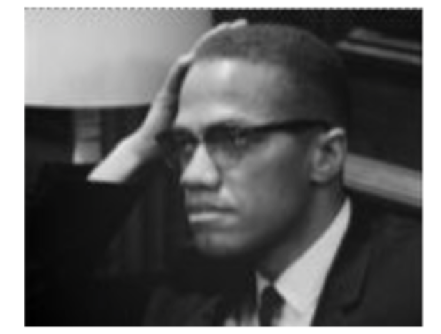 Advocates for Black Nationalism