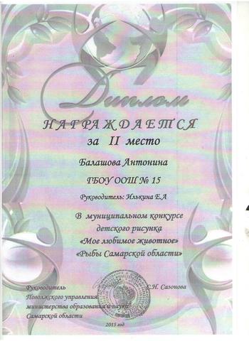 Муниципальный конкурс детского творчества. Диплом за 2 место