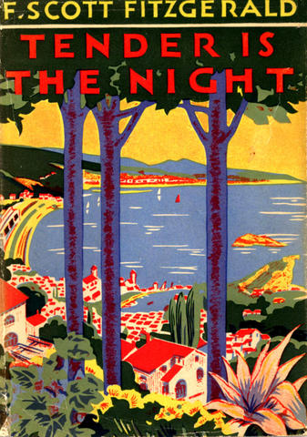 Fitzgerald tries writing another book