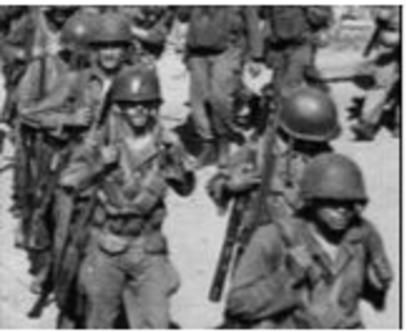 Executive Order 9981