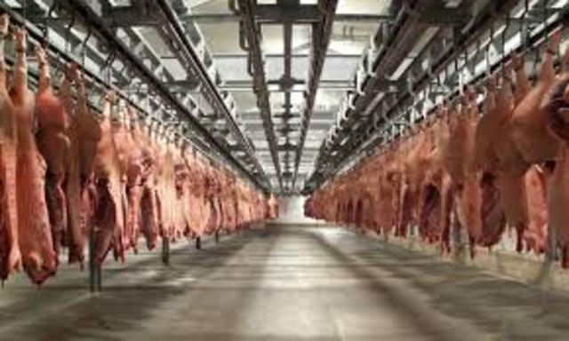 Matadero Frigorífico