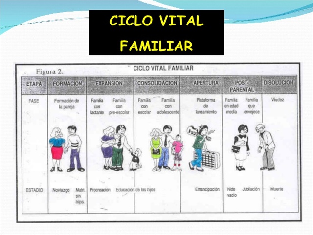 La teoría del ciclo de vida familiar Según Haley (1980) los hombres comparten