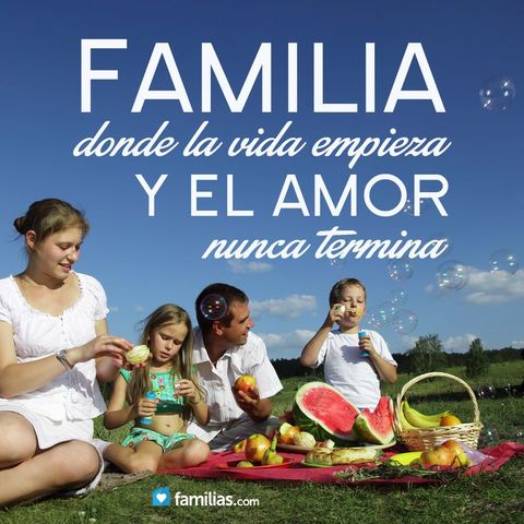 La perspectiva del poder y de las fuerzas en la familia Desde  Weick y Saleeby,