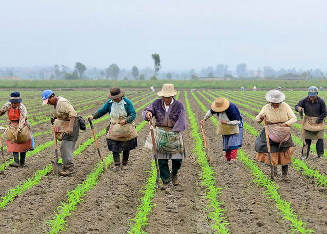Ley de Reforma Agraria