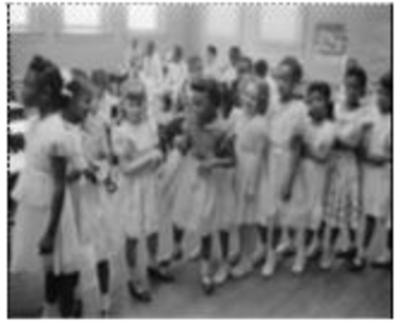 Brown v. Board of Education Ruling