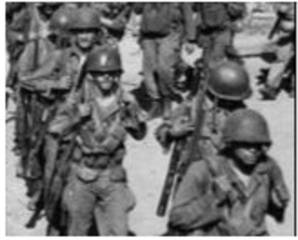 Executive Order 9981