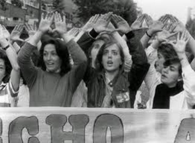 El feminismo radical