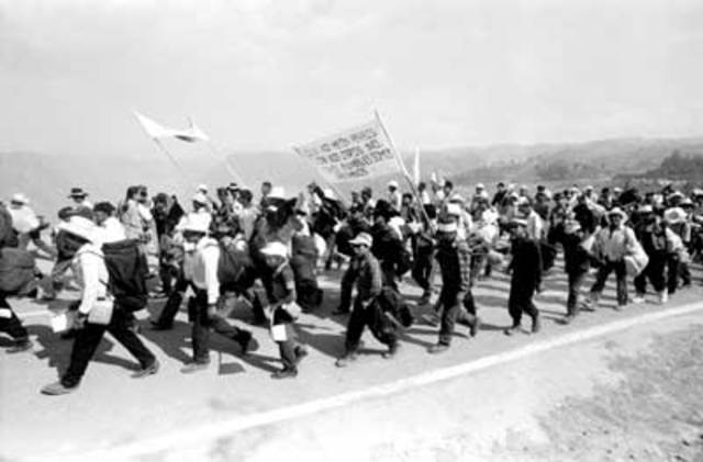 Movimientos Indígenas en Mexico