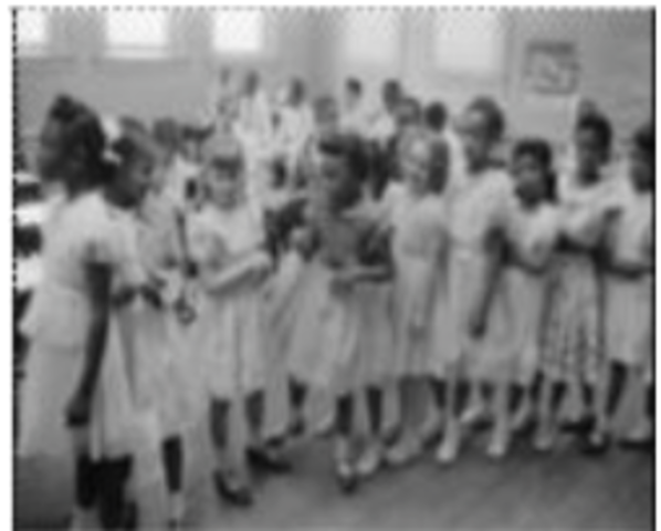 Brown v. Board of Education Ruling