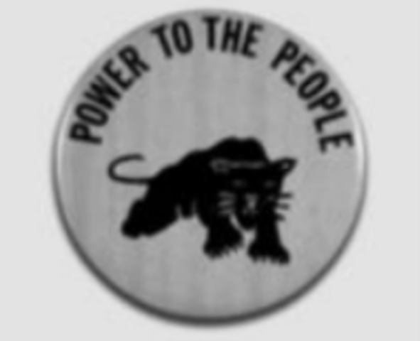 Black Panther Party Founded