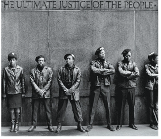 Advocates for Black Nationalism