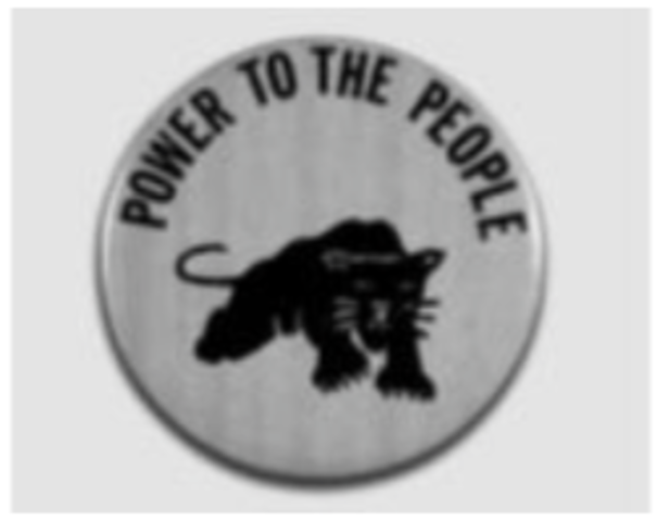 Black Panther Party Founded