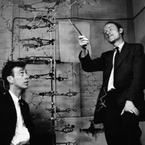 Científico. Francis Crick y James Watson descifran el ADN