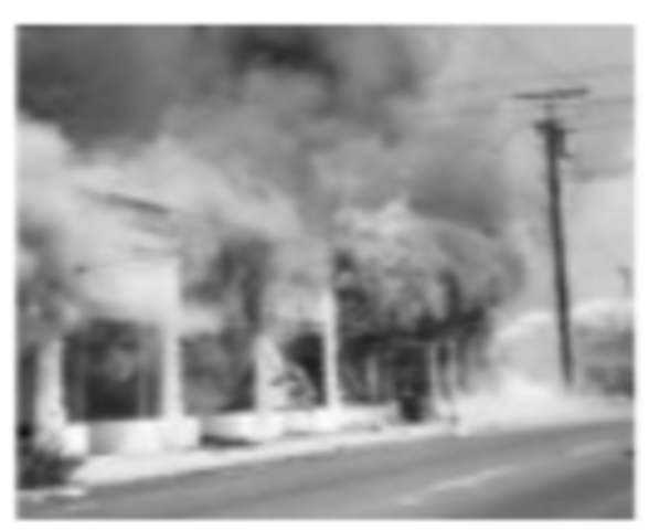 Watts Riot