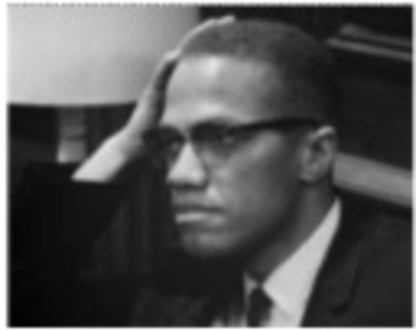 Advocates for Black Nationalism